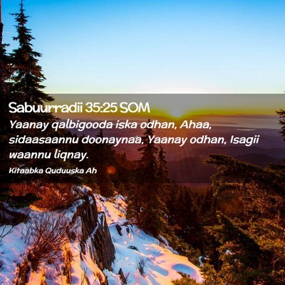 Picture 02 - Sabuurradii 35:25 SOM - Yaanay qalbigooda iska odhan, Ahaa, sidaasaannu - Bible Verse Picture