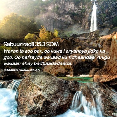 Picture 02 - Sabuurradii 35:3 SOM - Waran la soo bax, oo kuwa i eryanaya jidka ka - Bible Verse Picture