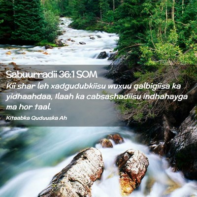 Picture 02 - Sabuurradii 36:1 SOM - Kii shar leh xadgudubkiisu wuxuu qalbigiisa ka - Bible Verse Picture