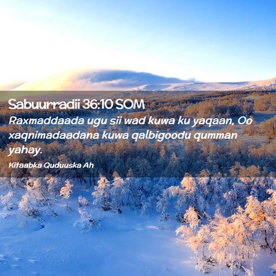 Picture 02 - Sabuurradii 36:10 SOM - Raxmaddaada ugu sii wad kuwa ku yaqaan, Oo - Bible Verse Picture