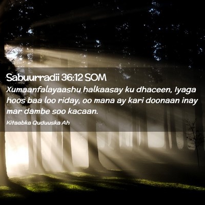 Picture 02 - Sabuurradii 36:12 SOM - Xumaanfalayaashu halkaasay ku dhaceen, Iyaga hoos - Bible Verse Picture