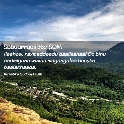 Picture 02 - Sabuurradii 36:7 SOM - Ilaahow, raxmaddaadu qaalisanaa! Oo - Bible Verse Picture