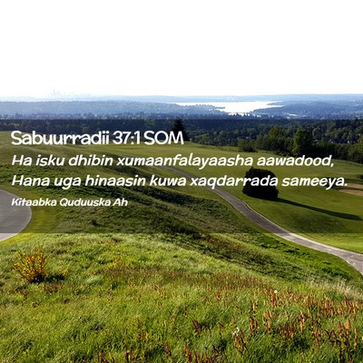 Picture 02 - Sabuurradii 37:1 SOM - Ha isku dhibin xumaanfalayaasha aawadood, Hana - Bible Verse Picture