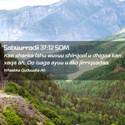Picture 02 - Sabuurradii 37:12 SOM - Kan sharka lahu wuxuu shirqool u dhigaa kan xaqa - Bible Verse Picture