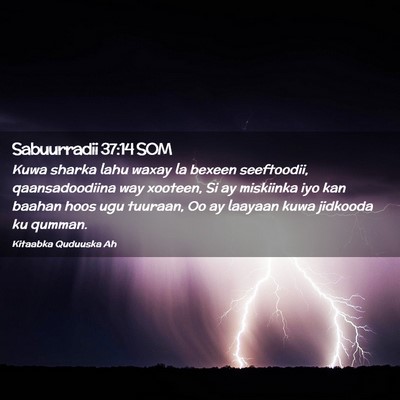 Picture 02 - Sabuurradii 37:14 SOM - Kuwa sharka lahu waxay la bexeen seeftoodii, - Bible Verse Picture