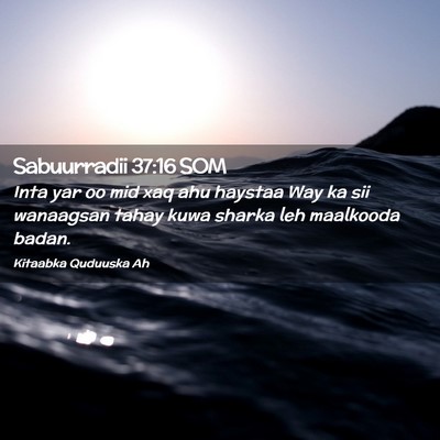 Picture 02 - Sabuurradii 37:16 SOM - Inta yar oo mid xaq ahu haystaa Way ka sii - Bible Verse Picture