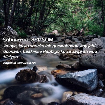 Picture 02 - Sabuurradii 37:17 SOM - Waayo, kuwa sharka leh gacmahoodu way jebi - Bible Verse Picture