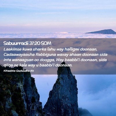 Picture 02 - Sabuurradii 37:20 SOM - Laakiinse kuwa sharka lahu way halligmi doonaan, - Bible Verse Picture