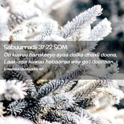 Picture 02 - Sabuurradii 37:22 SOM - Oo kuwuu barakeeyo ayaa dalka dhaxli doona, - Bible Verse Picture