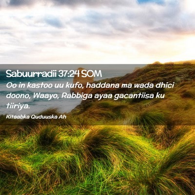 Picture 02 - Sabuurradii 37:24 SOM - Oo in kastoo uu kufo, haddana ma wada dhici - Bible Verse Picture