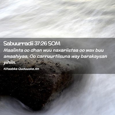 Picture 02 - Sabuurradii 37:26 SOM - Maalinta oo dhan wuu naxariistaa oo wax buu - Bible Verse Picture