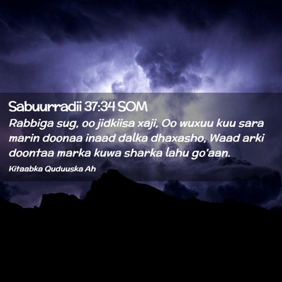 Picture 02 - Sabuurradii 37:34 SOM - Rabbiga sug, oo jidkiisa xaji, Oo wuxuu kuu sara - Bible Verse Picture