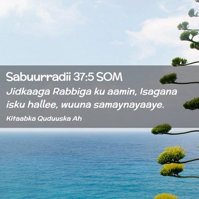 Picture 02 - Sabuurradii 37:5 SOM - Jidkaaga Rabbiga ku aamin, Isagana isku hallee, - Bible Verse Picture