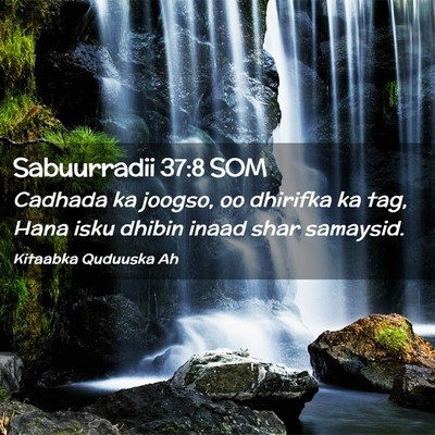 Picture 02 - Sabuurradii 37:8 SOM - Cadhada ka joogso, oo dhirifka ka tag, Hana isku - Bible Verse Picture