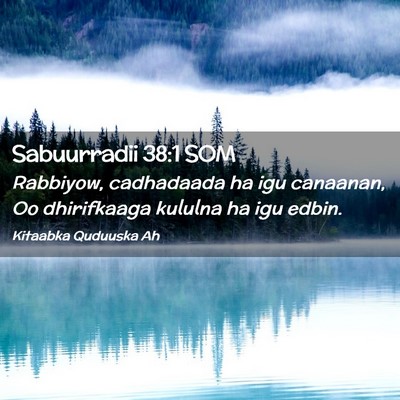 Picture 02 - Sabuurradii 38:1 SOM - Rabbiyow, cadhadaada ha igu canaanan, Oo - Bible Verse Picture