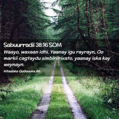 Picture 02 - Sabuurradii 38:16 SOM - Waayo, waxaan idhi, Yaanay igu rayrayn, Oo markii - Bible Verse Picture