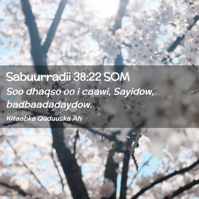 Picture 02 - Sabuurradii 38:22 SOM - Soo dhaqso oo i caawi, Sayidow, - Bible Verse Picture