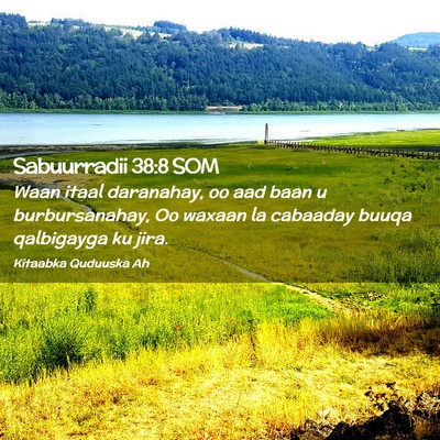Picture 02 - Sabuurradii 38:8 SOM - Waan itaal daranahay, oo aad baan u - Bible Verse Picture