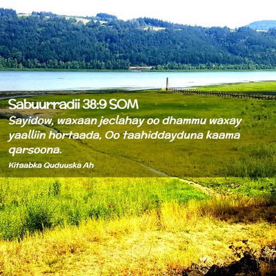 Picture 02 - Sabuurradii 38:9 SOM - Sayidow, waxaan jeclahay oo dhammu waxay yaalliin - Bible Verse Picture