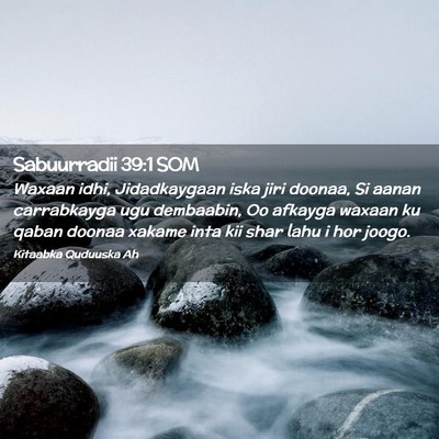 Picture 02 - Sabuurradii 39:1 SOM - Waxaan idhi, Jidadkaygaan iska jiri doonaa, Si - Bible Verse Picture