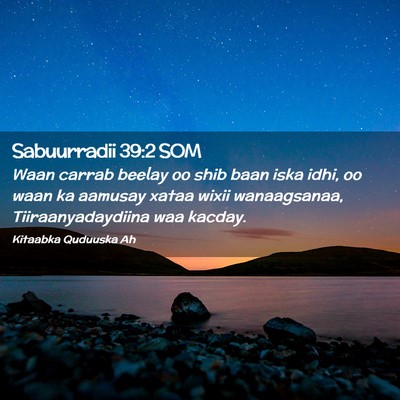 Picture 02 - Sabuurradii 39:2 SOM - Waan carrab beelay oo shib baan iska idhi, oo - Bible Verse Picture