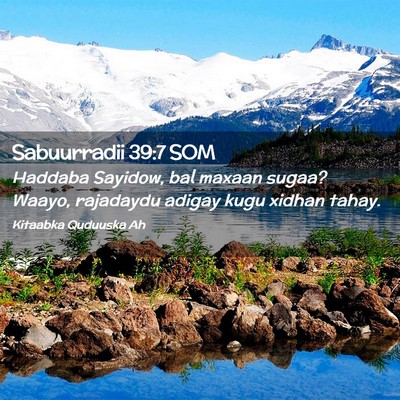 Picture 02 - Sabuurradii 39:7 SOM - Haddaba Sayidow, bal maxaan sugaa? Waayo, - Bible Verse Picture