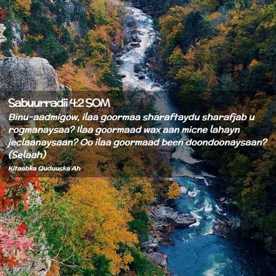 Picture 02 - Sabuurradii 4:2 SOM - Binu-aadmigow, ilaa goormaa sharaftaydu sharafjab - Bible Verse Picture