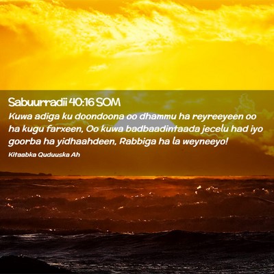 Picture 02 - Sabuurradii 40:16 SOM - Kuwa adiga ku doondoona oo dhammu ha reyreeyeen - Bible Verse Picture