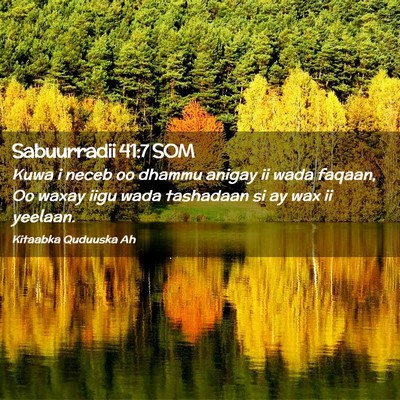 Picture 02 - Sabuurradii 41:7 SOM - Kuwa i neceb oo dhammu anigay ii wada faqaan, Oo - Bible Verse Picture