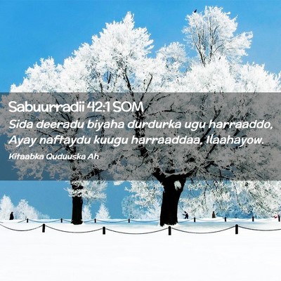 Picture 02 - Sabuurradii 42:1 SOM - Sida deeradu biyaha durdurka ugu harraaddo, Ayay - Bible Verse Picture