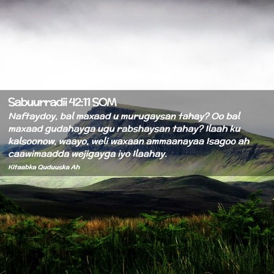 Picture 02 - Sabuurradii 42:11 SOM - Naftaydoy, bal maxaad u murugaysan tahay? Oo bal - Bible Verse Picture