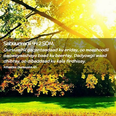 Picture 02 - Sabuurradii 44:2 SOM - Quruumihii gacantaadaad ku eriday, oo meeshoodii - Bible Verse Picture