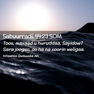 Picture 02 - Sabuurradii 44:23 SOM - Toos, maxaad u huruddaa, Sayidow? Sara joogso, oo - Bible Verse Picture