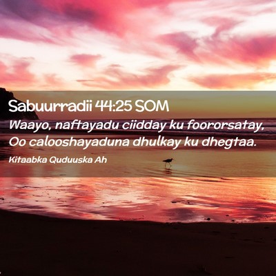 Picture 02 - Sabuurradii 44:25 SOM - Waayo, naftayadu ciidday ku foororsatay, Oo - Bible Verse Picture