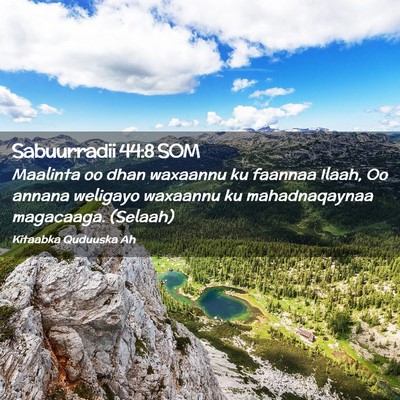 Picture 02 - Sabuurradii 44:8 SOM - Maalinta oo dhan waxaannu ku faannaa Ilaah, Oo - Bible Verse Picture
