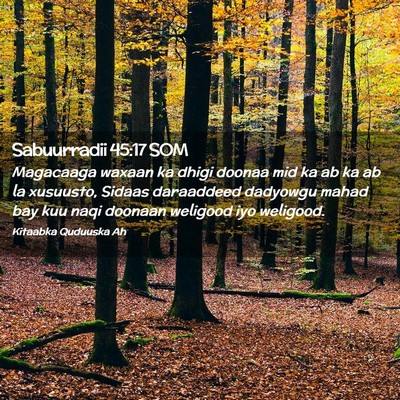 Picture 02 - Sabuurradii 45:17 SOM - Magacaaga waxaan ka dhigi doonaa mid ka ab ka ab - Bible Verse Picture