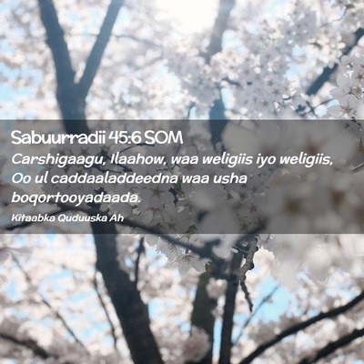 Picture 02 - Sabuurradii 45:6 SOM - Carshigaagu, Ilaahow, waa weligiis iyo weligiis, - Bible Verse Picture