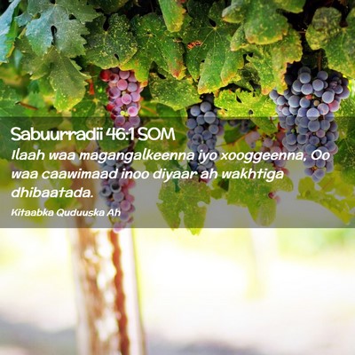 Picture 02 - Sabuurradii 46:1 SOM - Ilaah waa magangalkeenna iyo xooggeenna, Oo waa - Bible Verse Picture