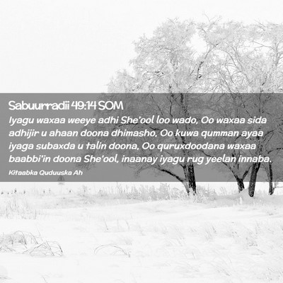 Picture 02 - Sabuurradii 49:14 SOM - Iyagu waxaa weeye adhi She'ool loo wado, Oo waxaa - Bible Verse Picture