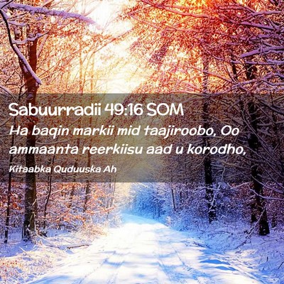 Picture 02 - Sabuurradii 49:16 SOM - Ha baqin markii mid taajiroobo, Oo ammaanta - Bible Verse Picture