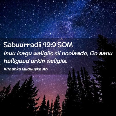 Picture 02 - Sabuurradii 49:9 SOM - Inuu isagu weligiis sii noolaado, Oo aanu - Bible Verse Picture