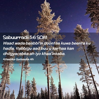 Picture 02 - Sabuurradii 5:6 SOM - Waad wada baabbi'in doontaa kuwa beenta ku hadla, - Bible Verse Picture