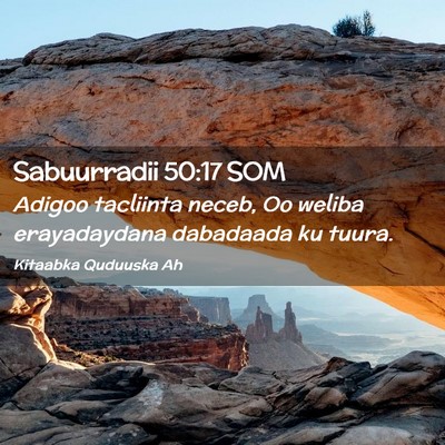 Picture 02 - Sabuurradii 50:17 SOM - Adigoo tacliinta neceb, Oo weliba erayadaydana - Bible Verse Picture