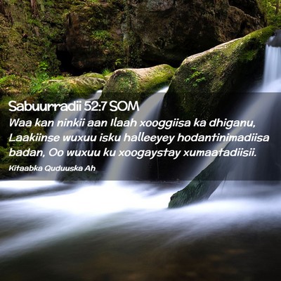 Picture 02 - Sabuurradii 52:7 SOM - Waa kan ninkii aan Ilaah xooggiisa ka dhiganu, - Bible Verse Picture