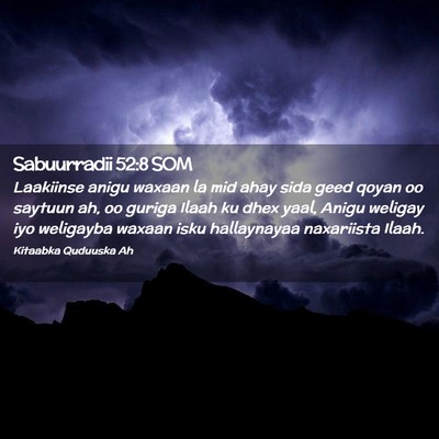 Picture 02 - Sabuurradii 52:8 SOM - Laakiinse anigu waxaan la mid ahay sida geed - Bible Verse Picture