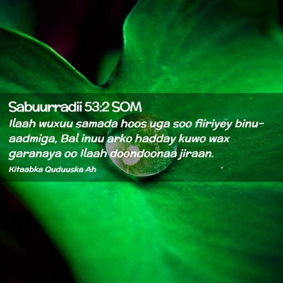 Picture 02 - Sabuurradii 53:2 SOM - Ilaah wuxuu samada hoos uga soo fiiriyey - Bible Verse Picture