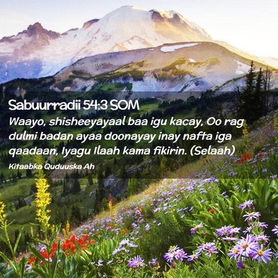 Picture 02 - Sabuurradii 54:3 SOM - Waayo, shisheeyayaal baa igu kacay, Oo rag dulmi - Bible Verse Picture