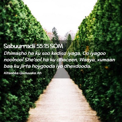 Picture 02 - Sabuurradii 55:15 SOM - Dhimasho ha ku soo kediso iyaga, Oo iyagoo - Bible Verse Picture