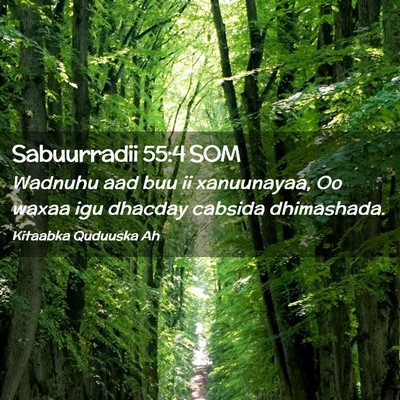 Picture 02 - Sabuurradii 55:4 SOM - Wadnuhu aad buu ii xanuunayaa, Oo waxaa igu - Bible Verse Picture