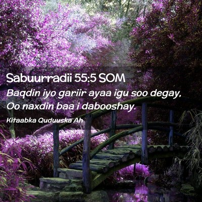 Picture 02 - Sabuurradii 55:5 SOM - Baqdin iyo gariir ayaa igu soo degay, Oo naxdin - Bible Verse Picture